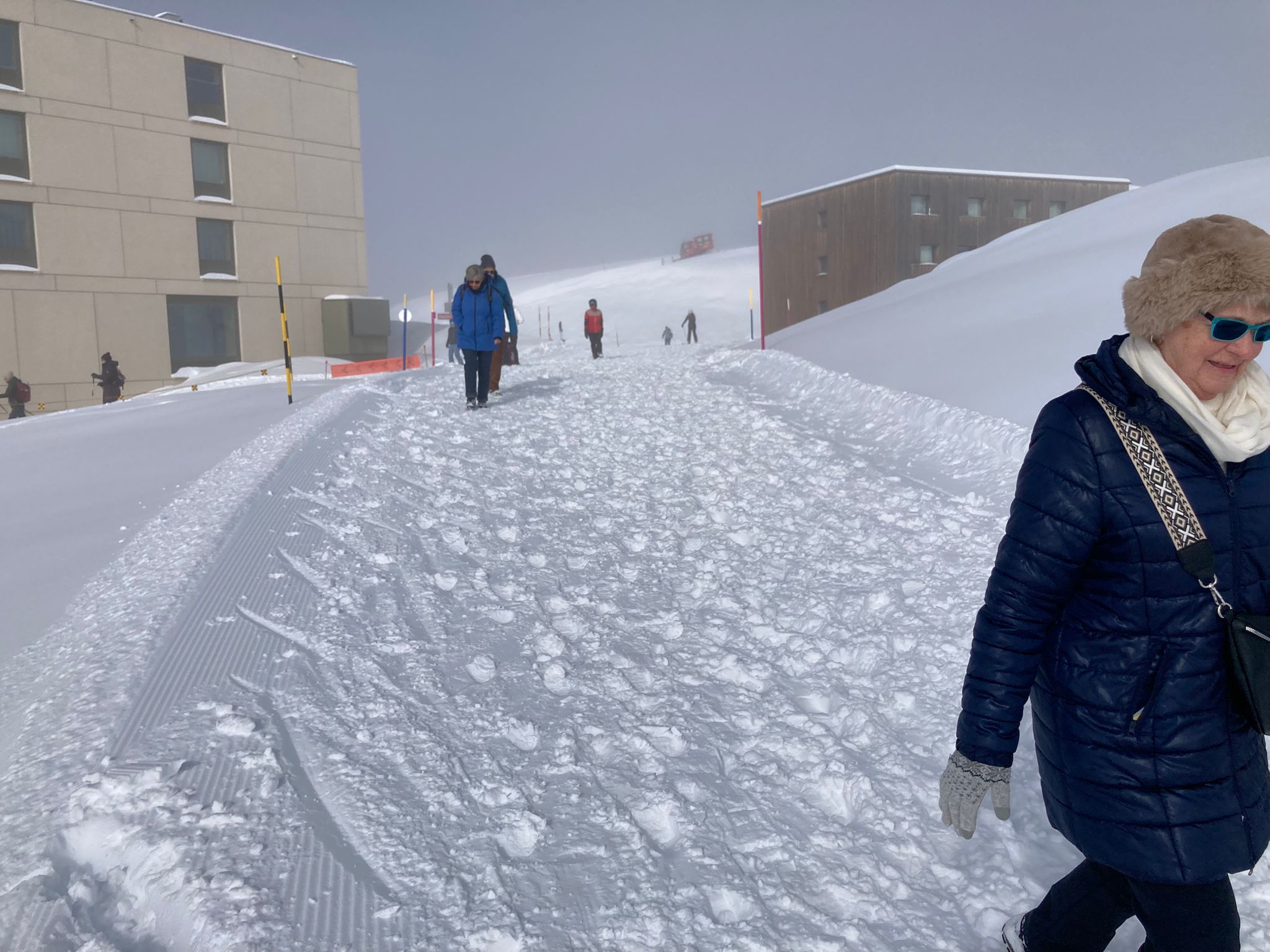 WhatsApp Image 2026-03-15 at 13.46.12 (3)_1myd4egjo6uue.jpeg